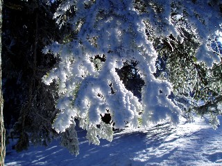Beauté de la Nature