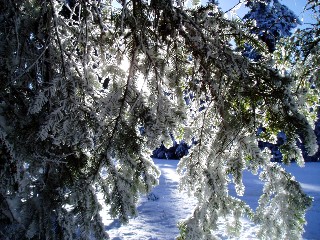 Beauté de la Nature