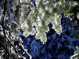 Beauté de la Nature