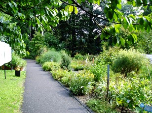 Jardin botanique au mois d'août à Berne