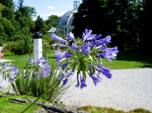 Jardin botanique au mois d'août à Genève