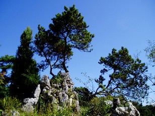 Jardin botanique au mois d'août à Genève