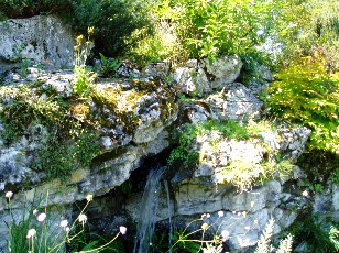 Jardin botanique au mois d'août à Genève