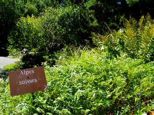 Jardin botanique au mois d'août à Genève