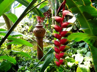 Jardin botanique au mois d'août à Genève