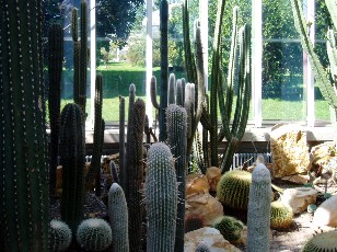 Jardin botanique au mois d'ao�t � Gen�ve