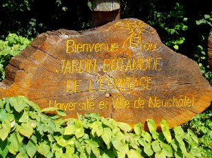 Jardin botanique au mois d'août à Neuchâtel