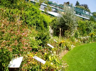 Jardin botanique au mois d'août à Neuchâtel