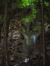 Les gorges de Jogne près de Broc