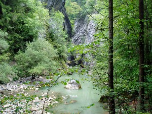 Les gorges de Jogne près de Broc