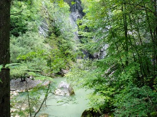 Les gorges de Jogne près de Broc