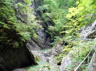 Les gorges de Jogne près de Broc