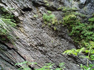 Les gorges de Jogne près de Broc