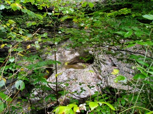 Les gorges de Jogne près de Broc