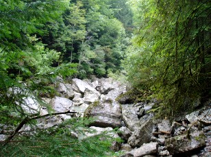 Les gorges de Jogne près de Broc