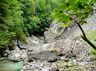 Les gorges de Jogne près de Broc