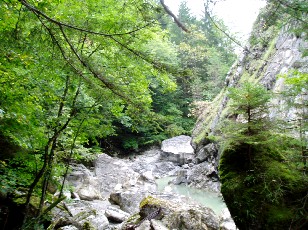 Les gorges de Jogne près de Broc