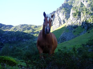 La montée au lac Bleu, regard attentif...