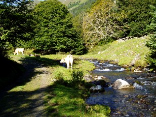 Montée au lac d'Ourrec
