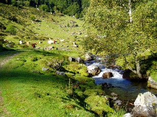 Montée au lac d'Ourrec