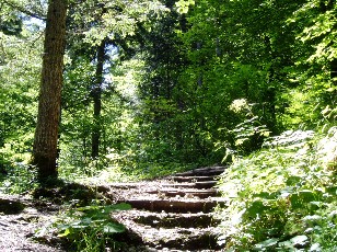 Gorges de la Poëta-Raisse
