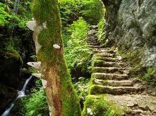 Gorges de la Poëta-Raisse