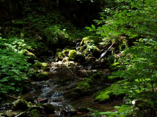 Gorges de la Poëta-Raisse