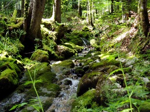 Gorges de la Poëta-Raisse