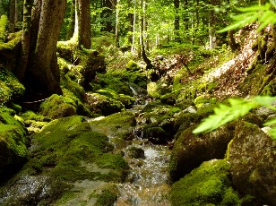 Gorges de la Poëta-Raisse