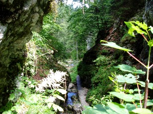 Gorges de la Poëta-Raisse