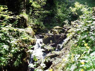 Gorges de la Poëta-Raisse
