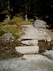 Magie et Beauté de la Nature au Pont d'Espagne !