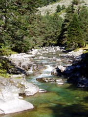 Magie et Beauté de la Nature au Pont d'Espagne !