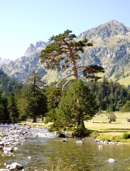 Magie et Beaut� de la Nature au Pont d'Espagne !