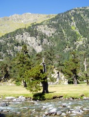 Magie et Beaut� de la Nature au Pont d'Espagne !