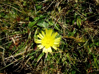 Magie et Beaut� de la Nature au Pont d'Espagne !