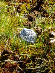 Magie et Beaut� de la Nature au Pont d'Espagne !