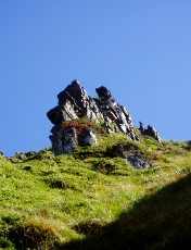 Magie et Beauté de la Nature
