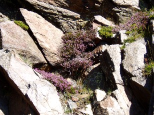 Magie et Beauté de la Nature