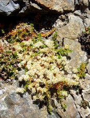 Magie et Beauté de la Nature